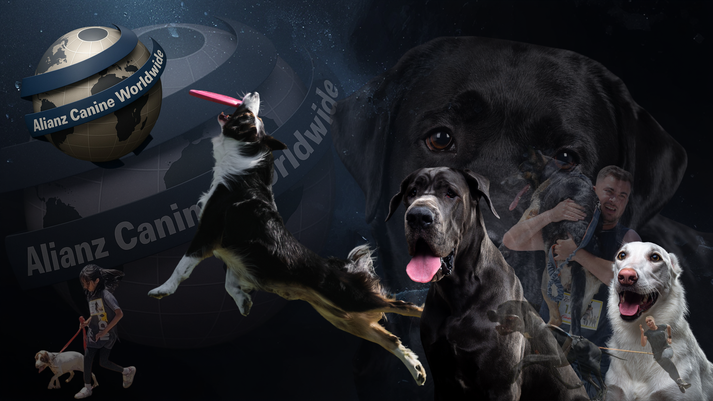 Alianz Canine Worldwide — banner institucional