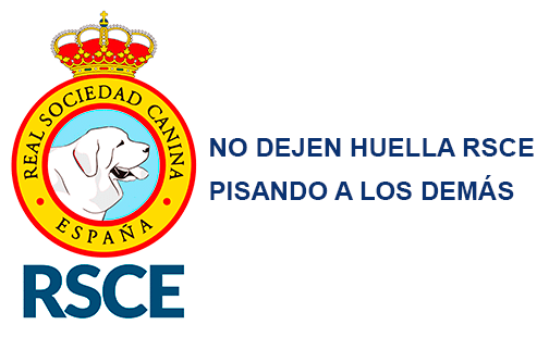 Hace Más de 30 Años Ya Se Dijo