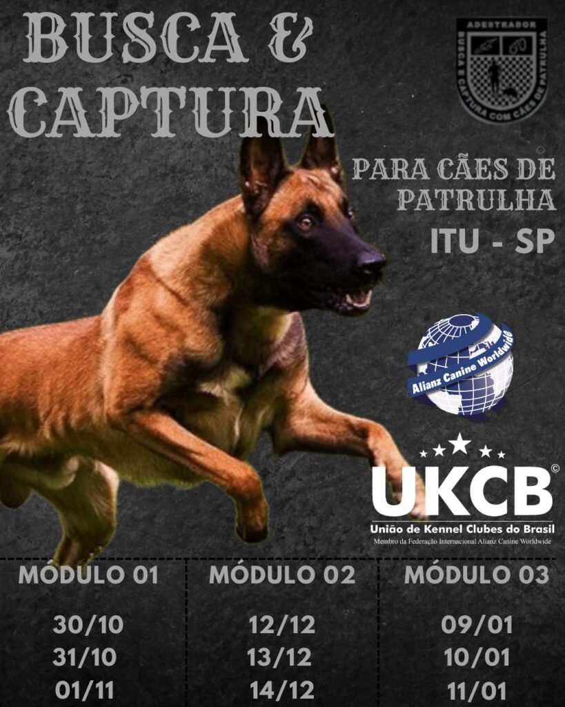 Curso de búsqueda y captura K9