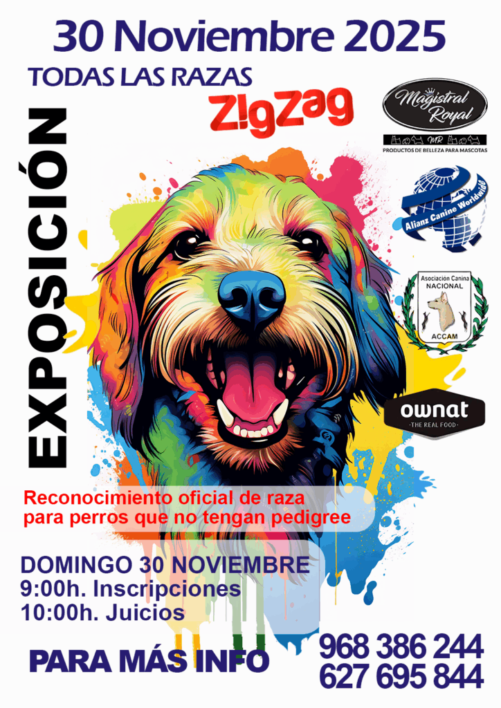 Exposición canina ZigZag Murcia