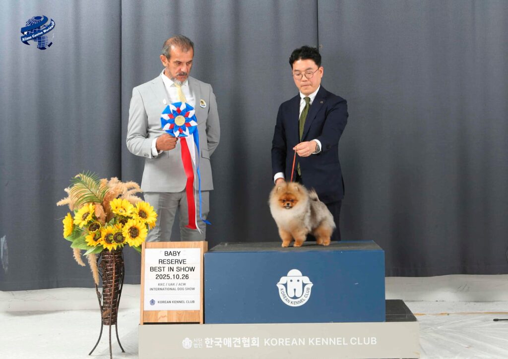 Ricardo Forastieri en Corea 2025