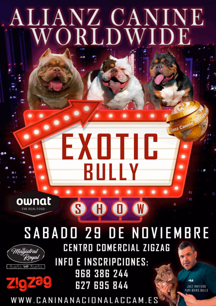 Monográfica Bullies en Murcia