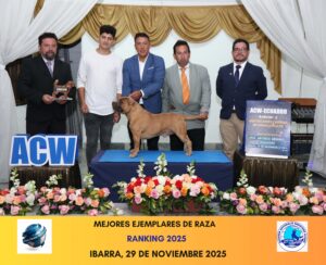 Ranking ACW 2025 en Ecuador