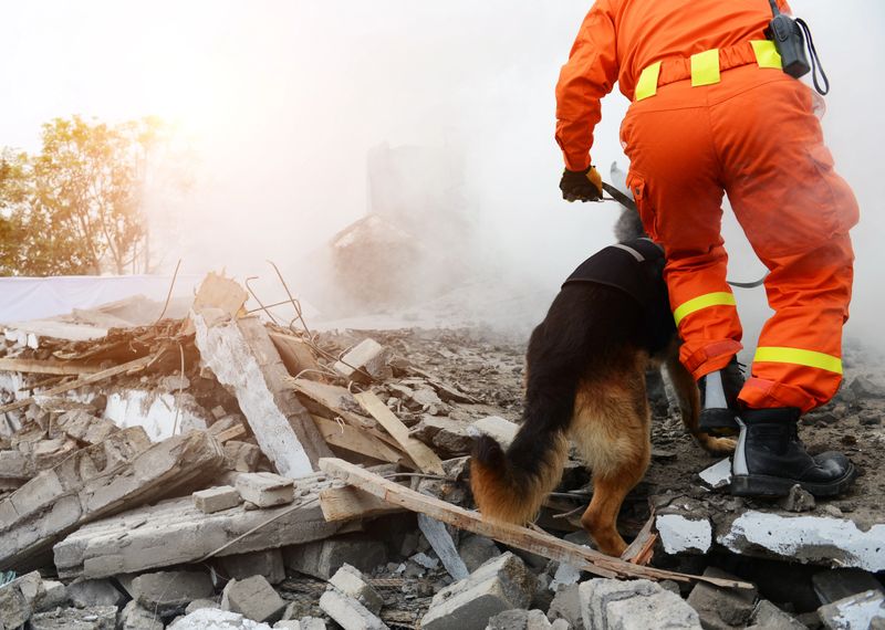 Trabajo y Utilidad — Grupo 2 Alianz Canine Worldwide
