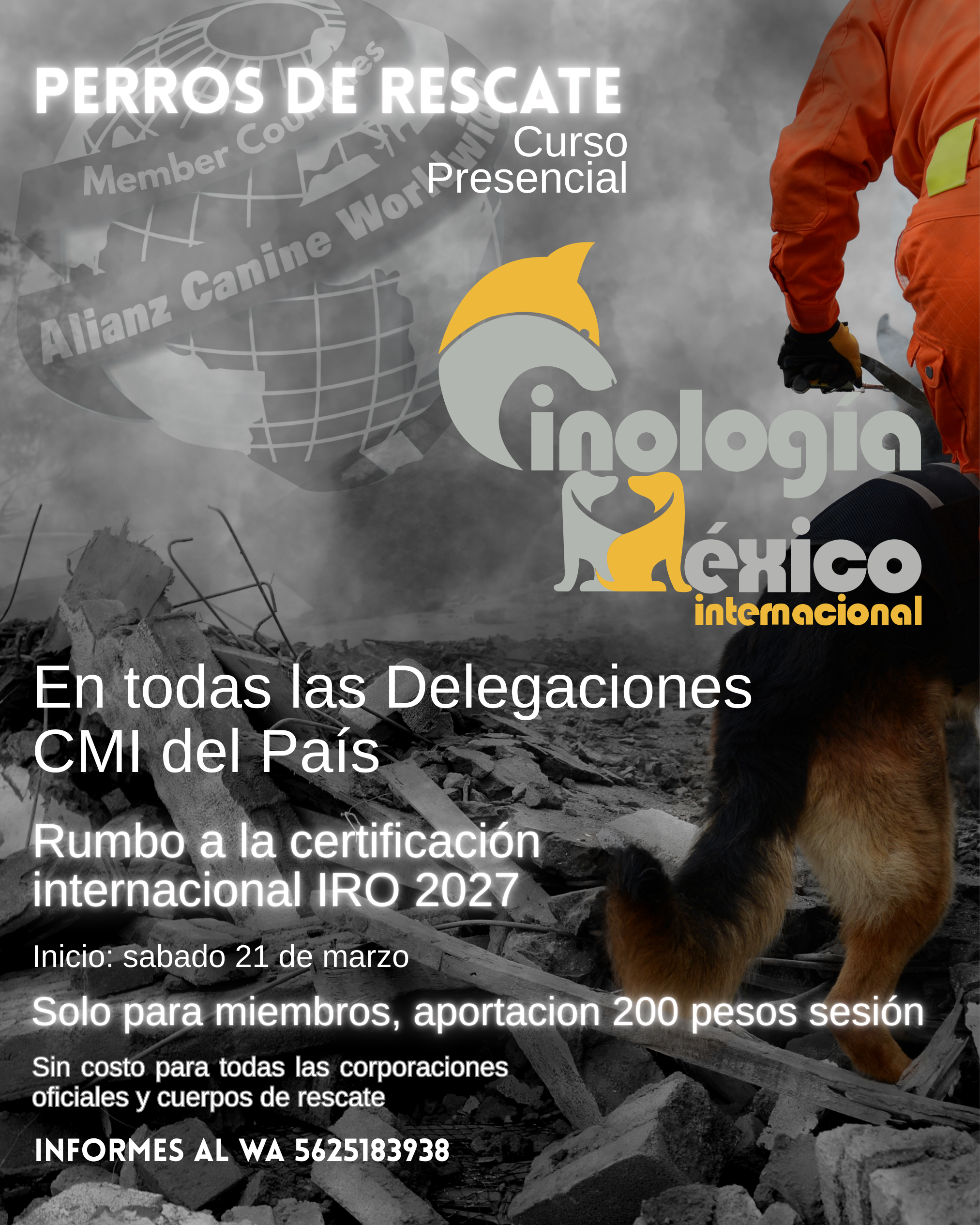 Curso de Titulación: Perros de Rescate