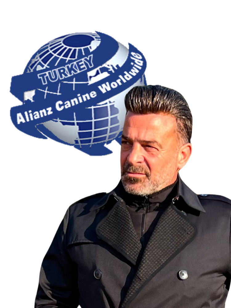 Foto de Akin Tülübas