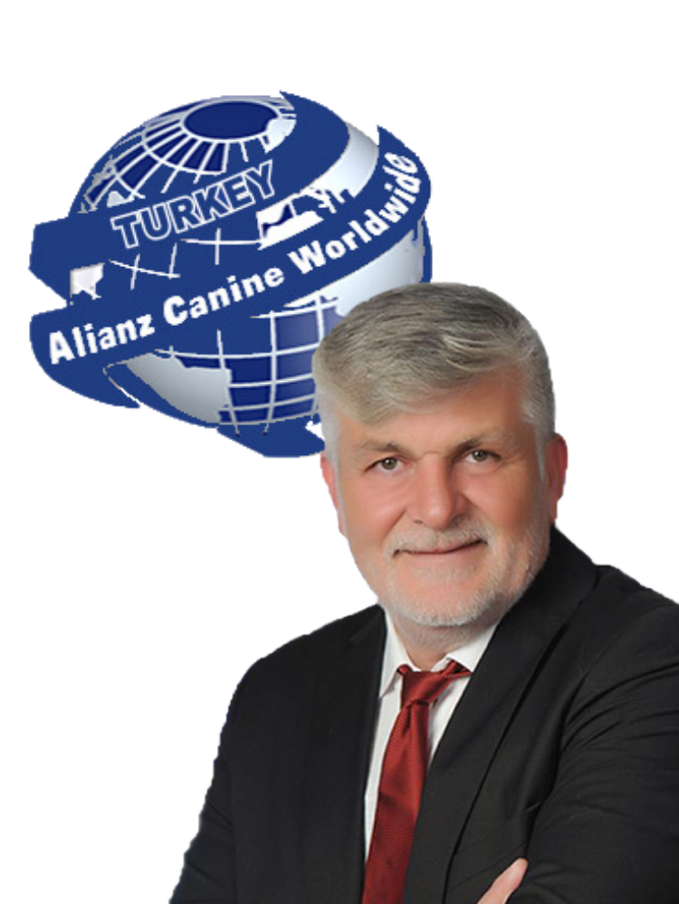 Foto de Uğur Kursun
